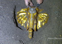 Young explorer discovers 3,500-year-old golden fossil in ancient elephant cave.