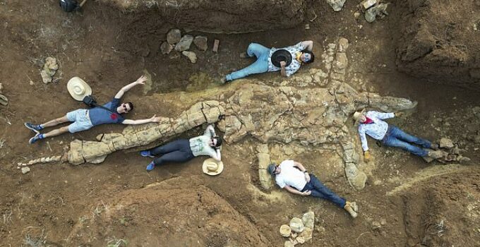 Fossil Hunters Unearth Incredible ‘Rosetta Stone’ Skeleton of a Dinosaur That Roamed Australia’s Vast Inland Sea 100 Million Years Ago.