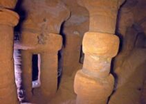 Explorer Astounded: Discovers ‘Knights Templar’ Cave Hidden Beneath Tree