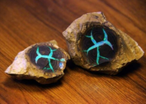 Australian Discovery: Petrified Wood Embedded with Turquoise Opal Unearthed