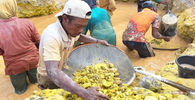 Gold Veins of Eternity: Revealing a Billion-Year Legacy at Treasure Mountain