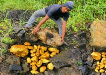Spontaneously, the gold rush and mining endeavors have unveiled an astonishingly extensive gold deposit.