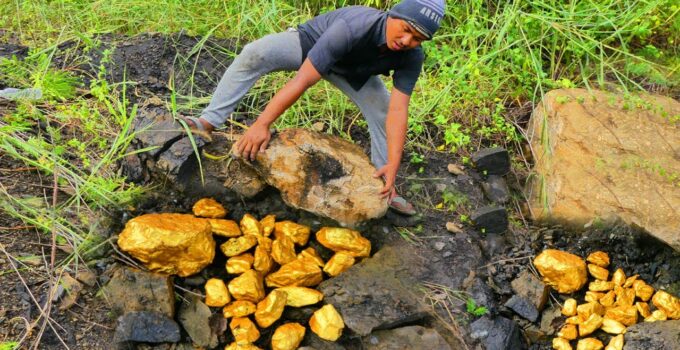 Spontaneously, the gold rush and mining endeavors have unveiled an astonishingly extensive gold deposit.