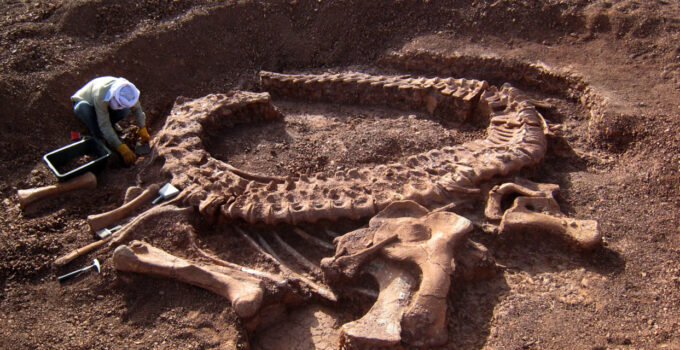 found the skeleton of a hellhound relic that lived 10 million years ago, standing seven feet tall, next to an old monastery