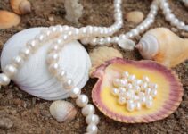 Exploring pearls found in large shells