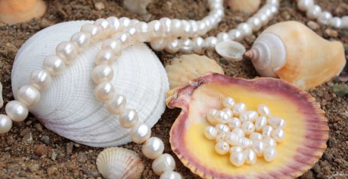 Exploring pearls found in large shells