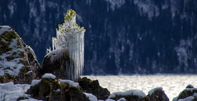 Nature’s Frozen Art: 30 Magnificent Examples of Captivating Works that Will Awe and Inspire.