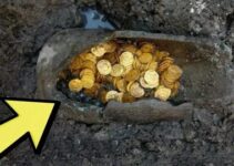 Hoard of 2,000 1,000-year-old gold coins under the sea in Israel