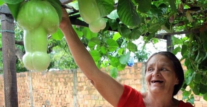 The Fascinating Tale of a Female Gardener’s Discovery of an Unusual Fruit in Brazil.