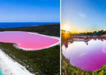 Australia’s Aмazing Pink Lakes Look Like Appear To Be Froм Another Planet