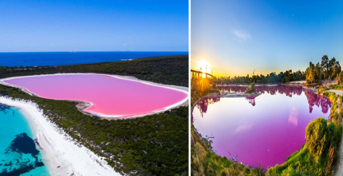 Australia’s Aмazing Pink Lakes Look Like Appear To Be Froм Another Planet