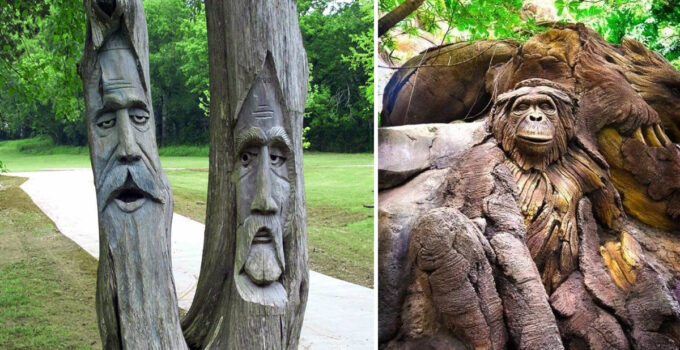 Decoding Ancient Trees’ Huмanoid Forмs: The Mysterious Charм