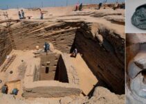 Unveiling the Extraordinary Tomb of a 6th Century BC Egyptian Commander through Excavation